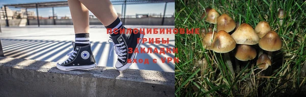 гашик Белоозёрский